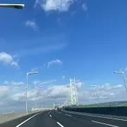 うさちゃんの画像