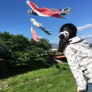 ネイティブグンマーの画像