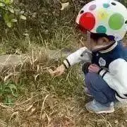 ほっそんの画像
