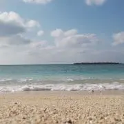 もふもふの画像