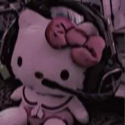 なちの画像