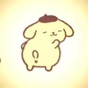 ぽむの画像