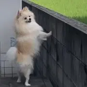 断捨離中〜めいめいの画像