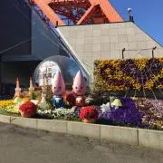 ほっぺの画像