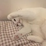 XIIXの画像