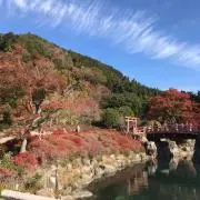 ︎︎☺︎さーちゃんの画像