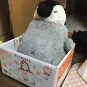 ももこ 版画 「新年の願いごと」 アールジュネス - メルカリ