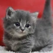 *love*プロフ必読♡の画像
