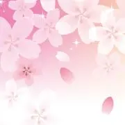 ちゃこの画像