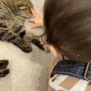 ちゃんの画像