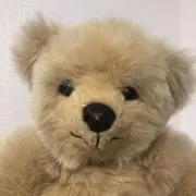 森のクマさん　※発送遅れますの画像