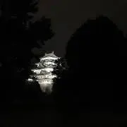 ねえ ※プロフ必ずご確認下さいの画像
