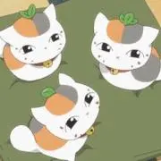 ひまわりの画像