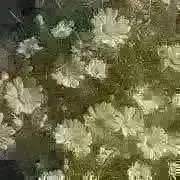 K【プロフお読み下さい】
