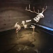 みいの画像