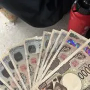 ぷうま