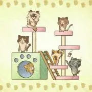 チョムスキー☆