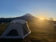 おもちの画像