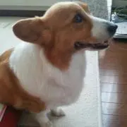 yossi♡の画像