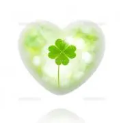cloverの画像