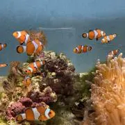 ほしみ*☻の画像