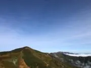 スノーの画像