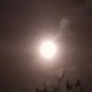 1016の画像