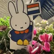 かっじ
