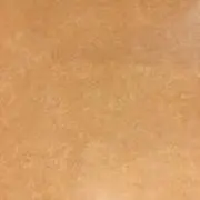 山ぴーの画像