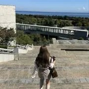nの画像