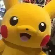 ピカピ  ※おまとめ歓迎/プロフ必読の画像