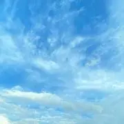 tkstk7の画像