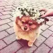 yu‐mi ❁*·の画像