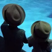 たろぅ