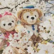 ダフメイ＊の画像