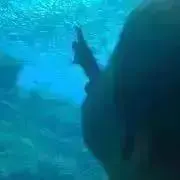 Amam.の画像
