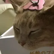 イソジン　レア物出品中　早い者勝ちです!の画像