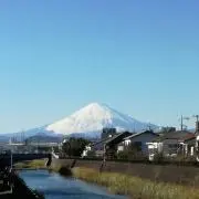 Fujiの画像