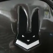 黒うさぎ