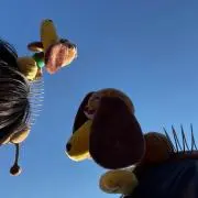 タハタ