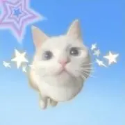 花の画像