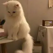 さなの画像