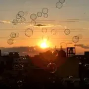 chariの画像