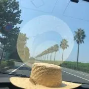 ＊エイミー＊の画像