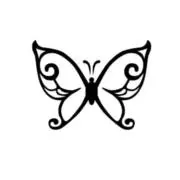 CRDP 50% CRD20%& H4CBD 50% リキッド 1ml 2本 CRDPリキッド2本セット – GEISHA BRAND