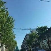 りゅう