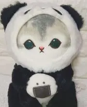 おにぎり♥パンダ♥の画像
