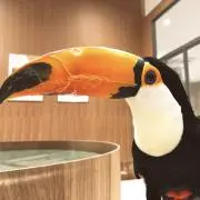 みょんの画像