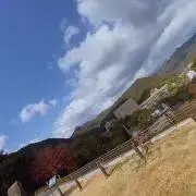 ⁂hmhm⁂の画像
