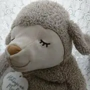 ★がお★の画像